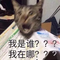 伟德国际1946源于英国